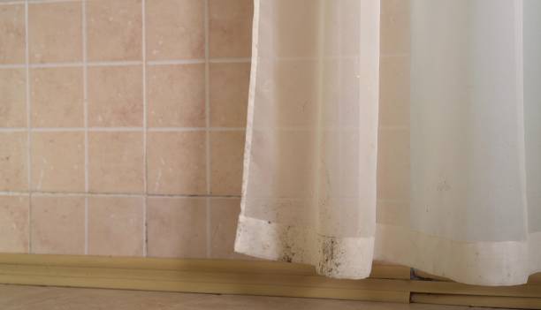 Best Mold Removal for HVAC Installations  in Kingsford, MI
