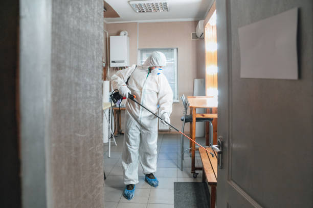 Best Asbestos and Lead Testing During Mold Inspection  in Kingsford, MI