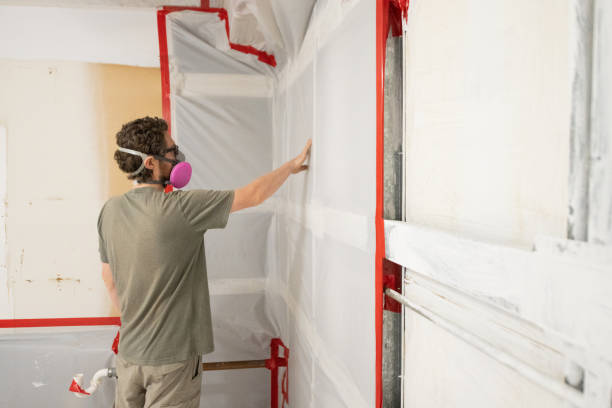 Best Biohazard Mold Removal  in Kingsford, MI