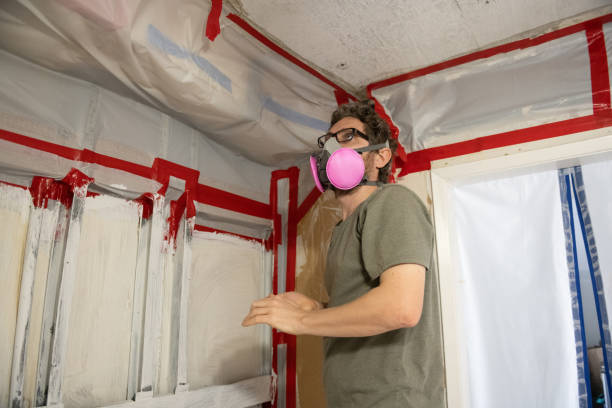 Mold Removal for HVAC Installations in Kingsford, MI