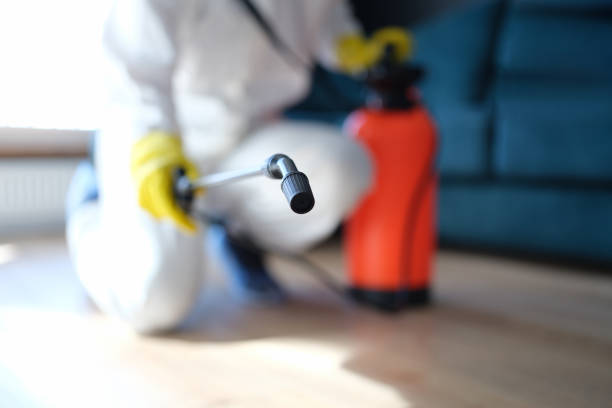 Best Forensic Mold Investigation  in Kingsford, MI