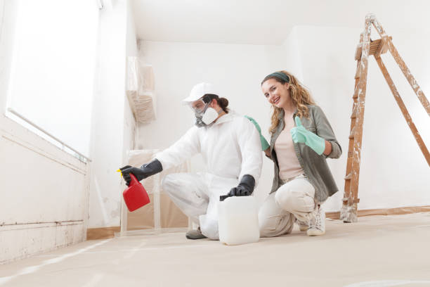 Best Attic Mold Removal  in Kingsford, MI