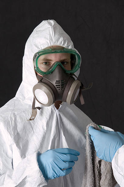 Best Residential Mold Inspection & Testing  in Kingsford, MI